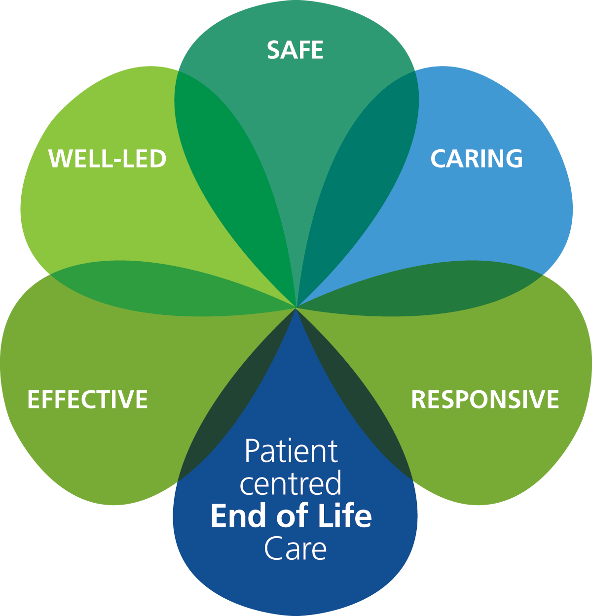 End of Life Care Graphic - Safe, Caring, Responsive, Patient centred EOLC, Effective, Well-led